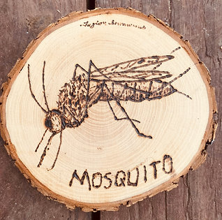 MOSQUITO