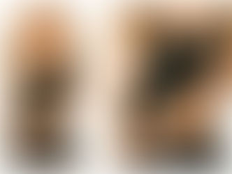 Shakira presume sus marcados abdominales