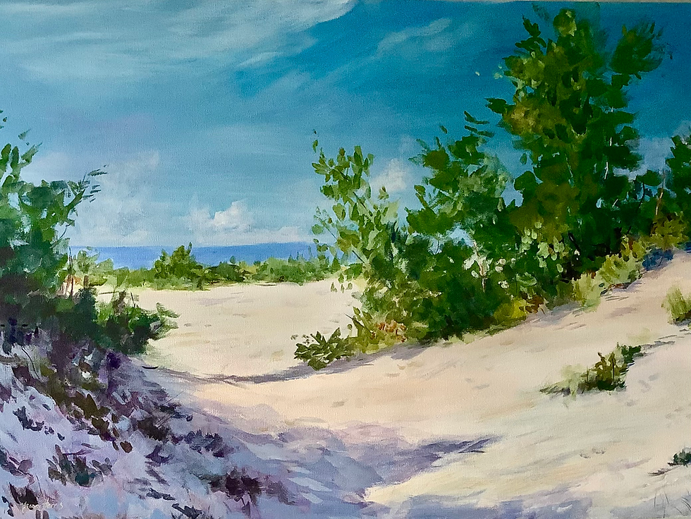 The Grand Beach Dunes