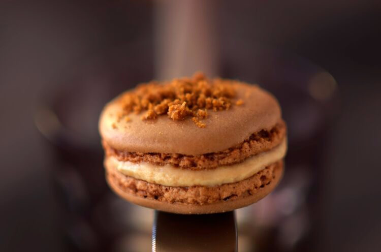 Macarons foie gras de canard