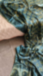 Vanaspati Hand block printed saree