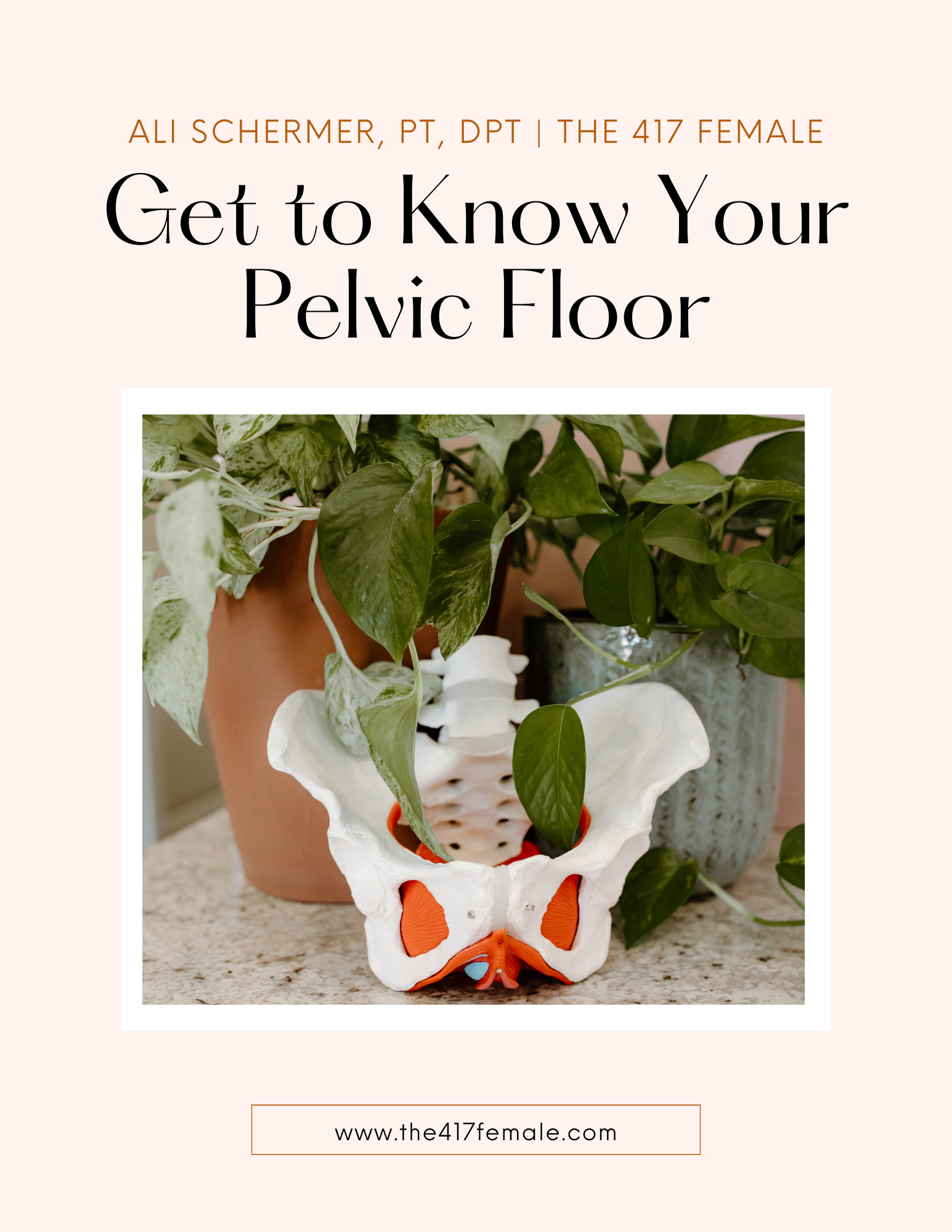 Get To Know Your Pelvic Floor | Ali Schermer, PT, DPT