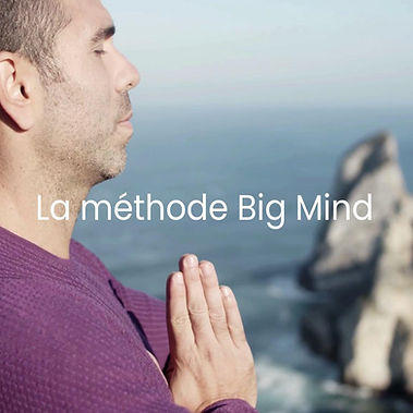 POCHETTE CD La Methode Big Mind.jpg