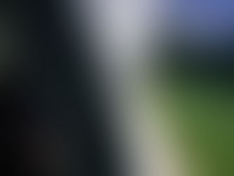 Uspješno provedeno zaprašivanje komaraca na području općine Odžak