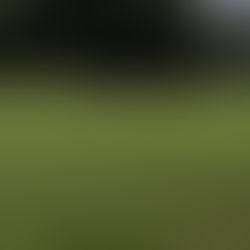 Ross Lamb free kick diverted in for Rovers equaliser