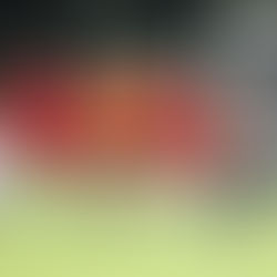 MATCH REPORT - vs HAWICK ROYAL ALBERT UTD