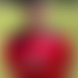 Manager Ger Rossi speaks ahead of two big matches