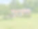 st 1 (1)_edited.jpg