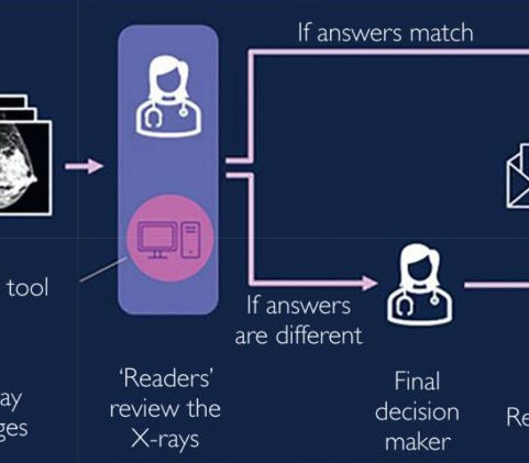 Figure 2- AI-assisted BC Screening Example Workflow
