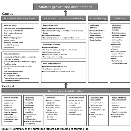 Figure 1- factors contributing to stunting