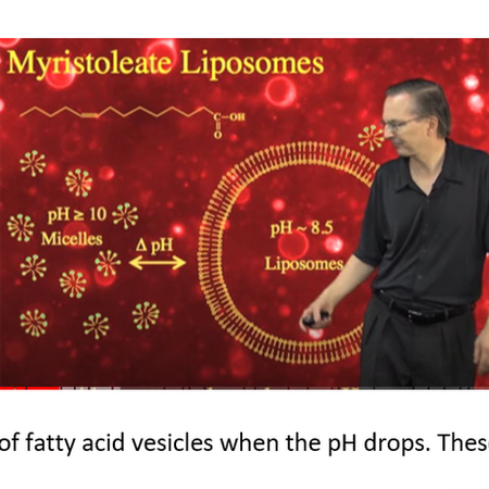 Diagram of the formation of fatty acid vesicles