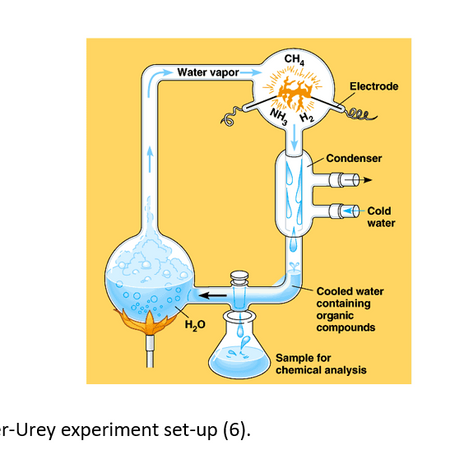 Diagram of the Miller-