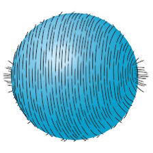 Hairy Ball Theorem (diagram)