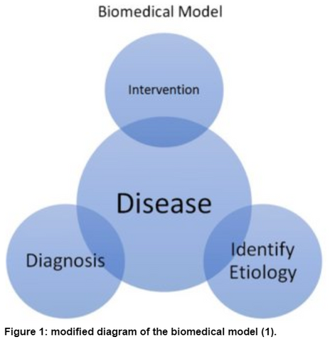 Figure 1- the biomedical model