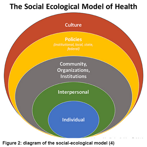 Figure 2- the social-ecological model of health