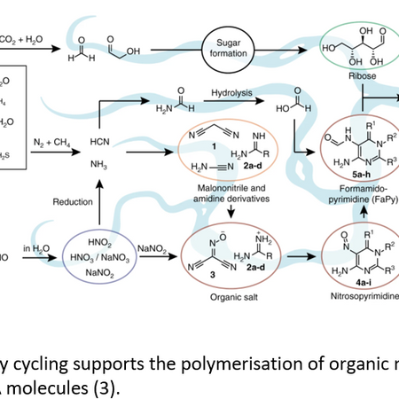 Organic molecules