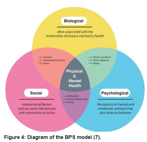 Figure 4- the biopsychosocial (BPS) model