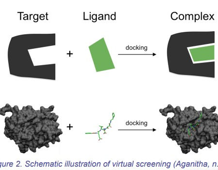 Figure 2- molecular docking