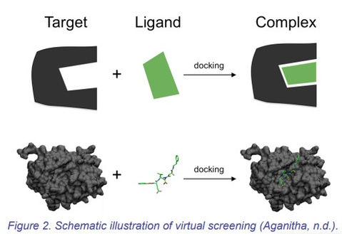 Figure 2- molecular docking