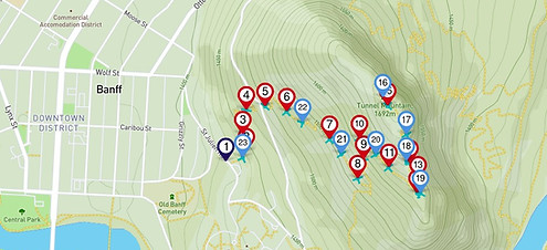 tunnel mountain trail.jpg