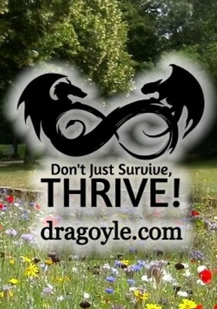 Field of Flowers (2).jpg