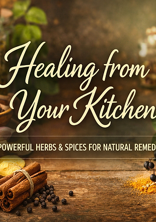 ChatGPT Image Jan 25, 2026, 11_14_13 AM.png