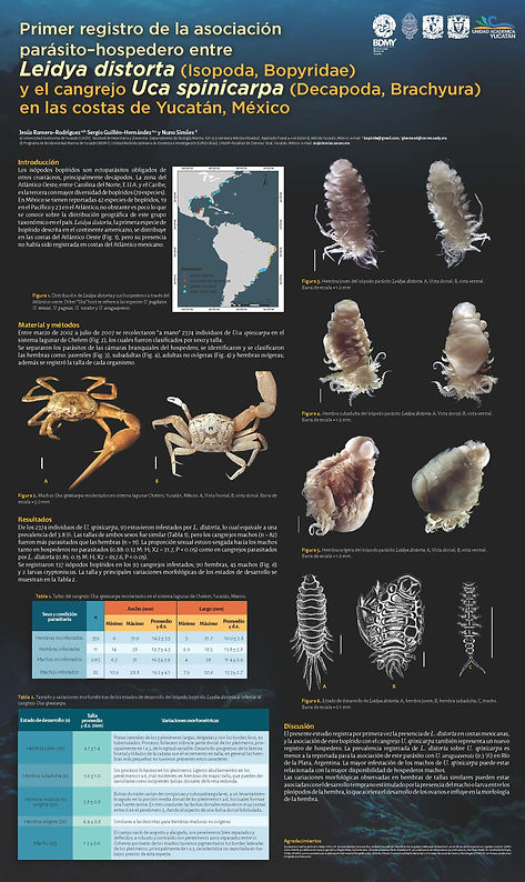 MicromoluscosA.Alacranes.jpg