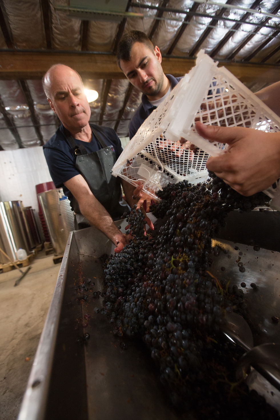 Wine Tasting Boston