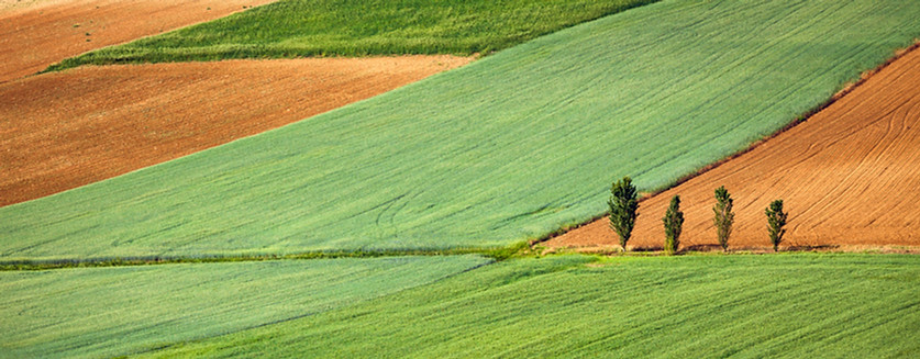 Farming Field