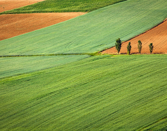 Farming Field