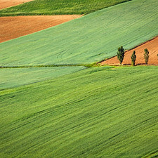 agricultura campo