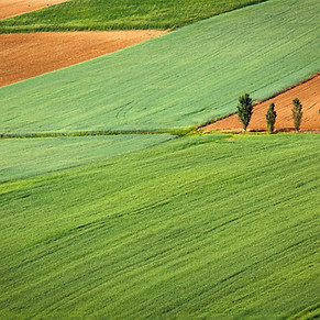 Farming Field