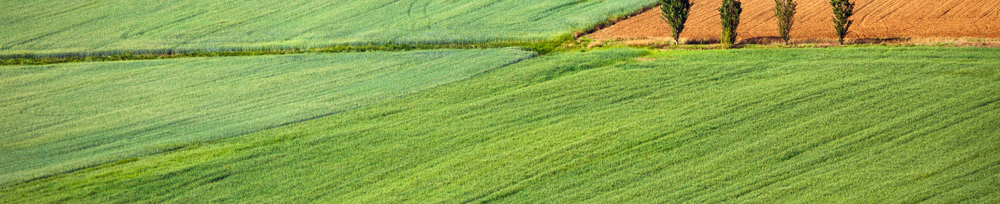 Association de protection de l'environnement