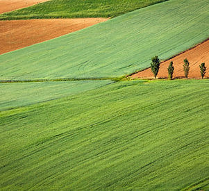 Farming Field