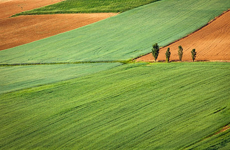 Farming Field