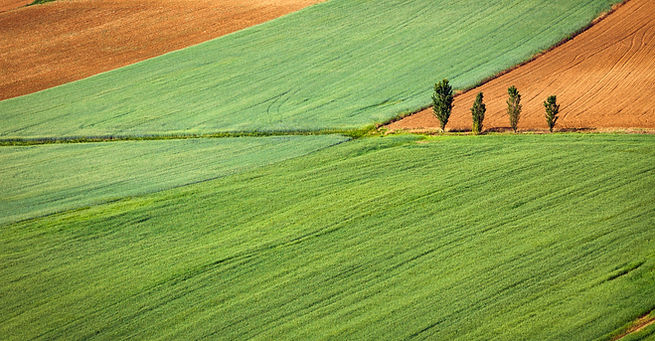 agricultura campo