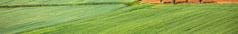 Farming Field