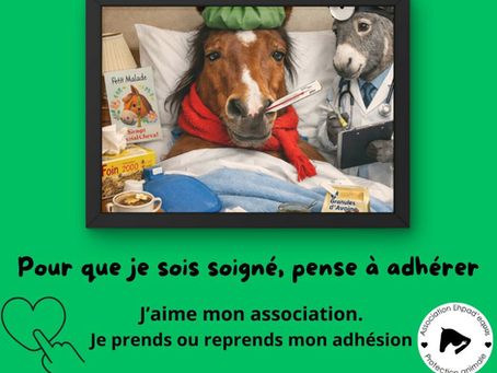 Adhésions