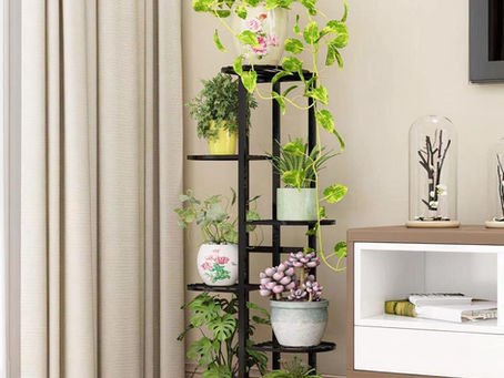 Indoor Plant Accessories Shop in Bangalore: ყველაფერი You Need for a Thriving Indoor Garden