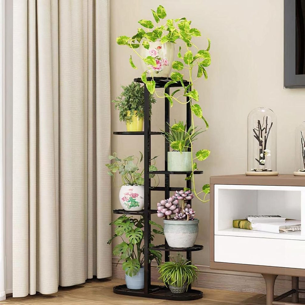 Indoor Plant Accessories Shop in Bangalore: ყველაფერი You Need for a Thriving Indoor Garden
