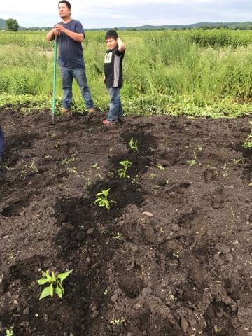 Writer: Sandy Gonzalez