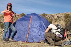 On voit qui travaille...