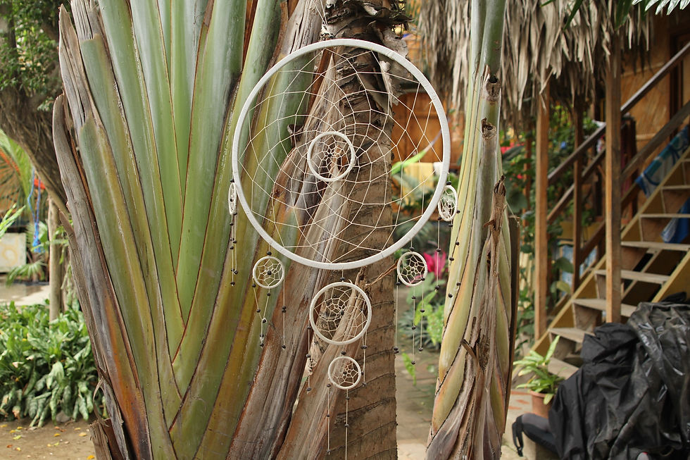 Quito & les baleines