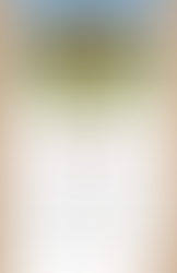 TBSテレビ「Momm!!」出演しました!