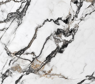 Statuario Inchiostro quartz countertop close-up, bold ink-like black veining on bright white, Toronto
