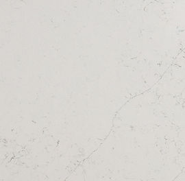 Close-up of Calacatta Botanica quartz showing organic gray veining detail