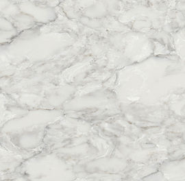 Close-up of Calacatta Ocellio quartz showing fine gray and beige veining