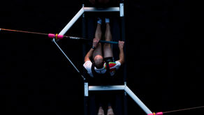 To Collaborate, or Not to Collaborate – That is the Question