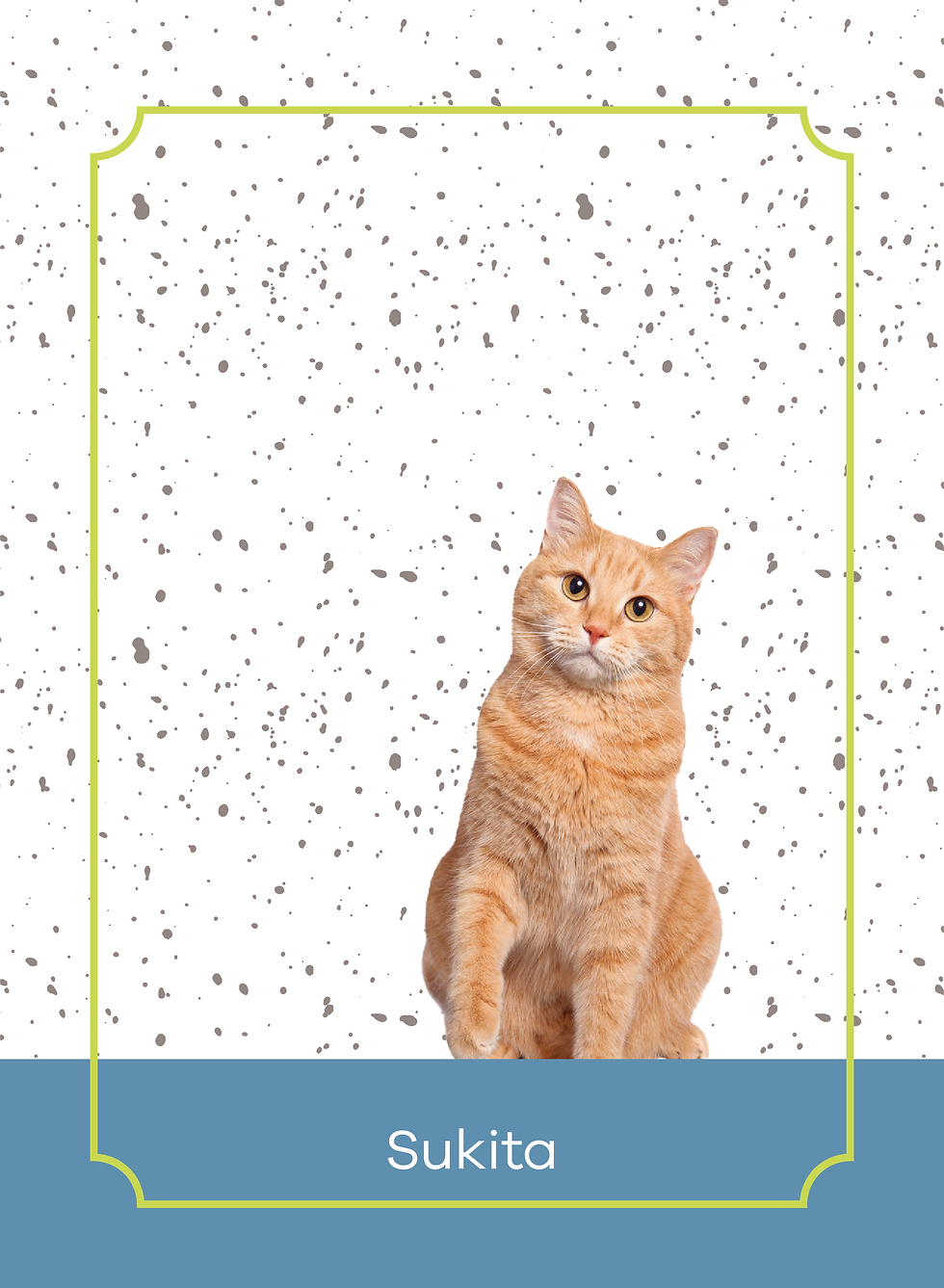 Miniatura: planner cats - spots