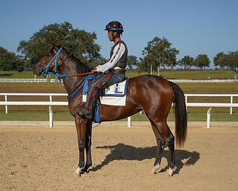 Accelebrate_with_Jockey_on_track_edited.